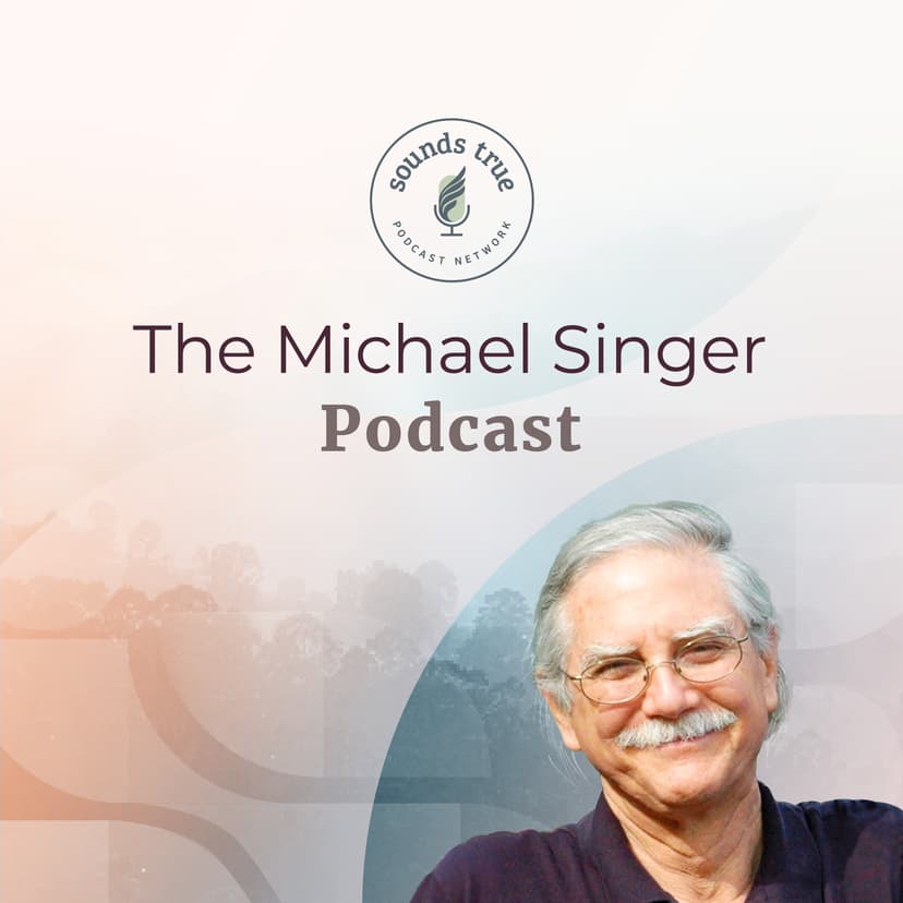 Michael Singer Podcast - podcast cover