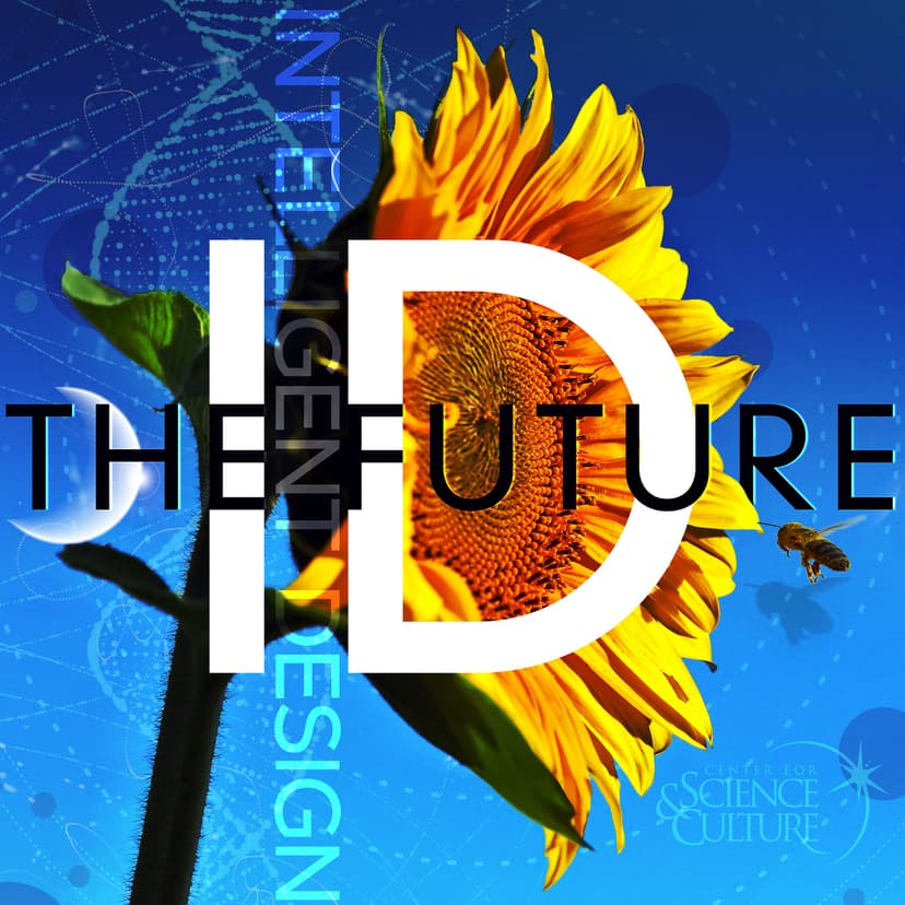 Intelligent Design the Future - podcast cover