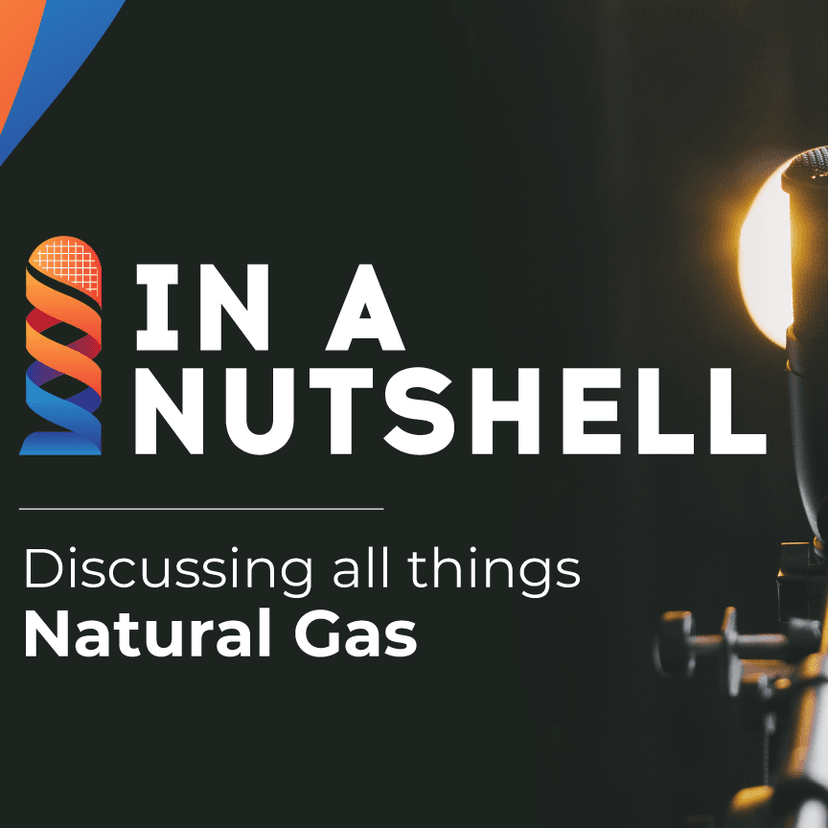 In a Nutshell by Natural Gas World - podcast cover