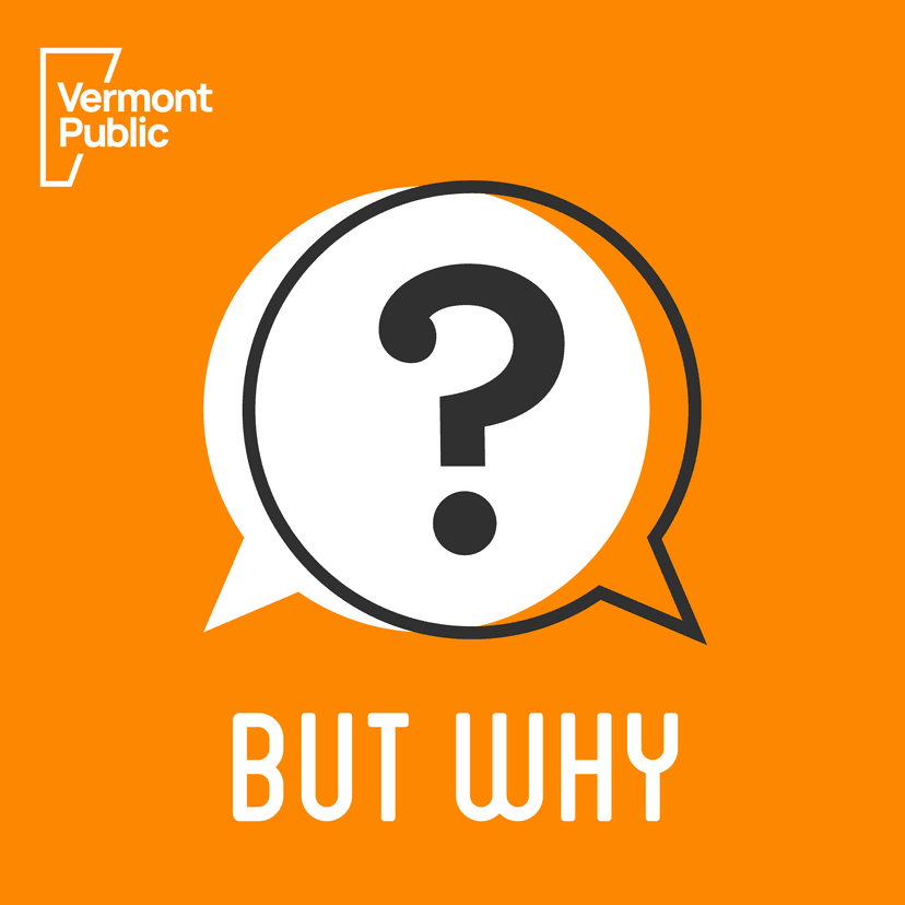 But Why: A Podcast for Curious Kids - podcast cover