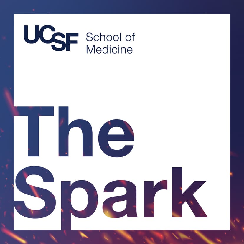 The Spark - podcast cover