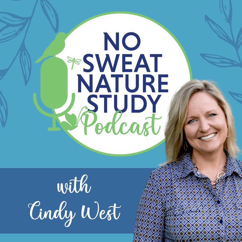 The No Sweat Nature Study Podcast - podcast cover