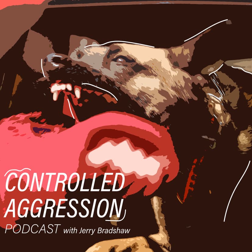 Controlled Aggression - podcast cover