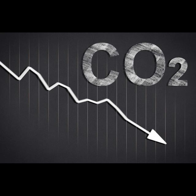 The real worth of net zero is debateable - podcast episode cover