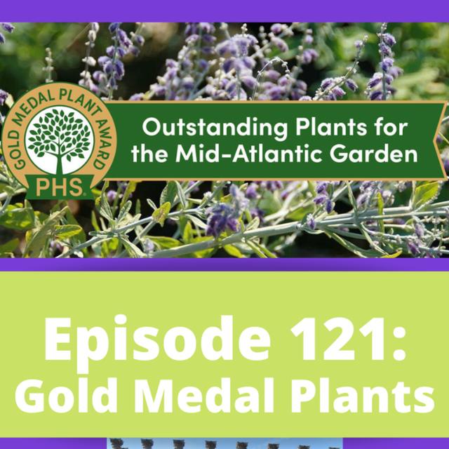 Gold Medal Plants - podcast episode cover