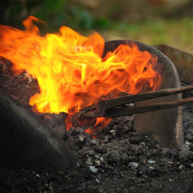 Archäologie des Feuers - Der lange Weg vom Buschbrand zum Ofen - podcast episode cover