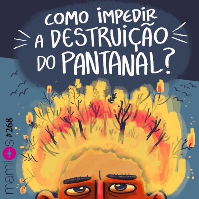 Como impedir a destruição do Pantanal? - podcast episode cover