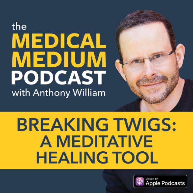 094 Breaking Twigs: A Meditative Healing Tool - podcast episode cover