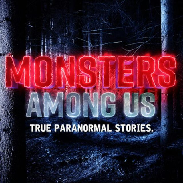 S13 Ep9: Sn. 13 Ep. 9 - Southern sasquatch, robed figures and dark watchers. - podcast episode cover