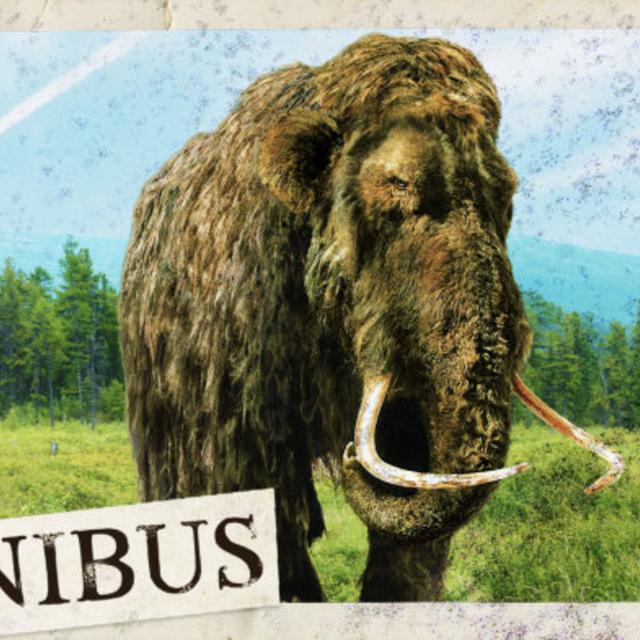 Megafauna (Entry 772.JB4015) - podcast episode cover