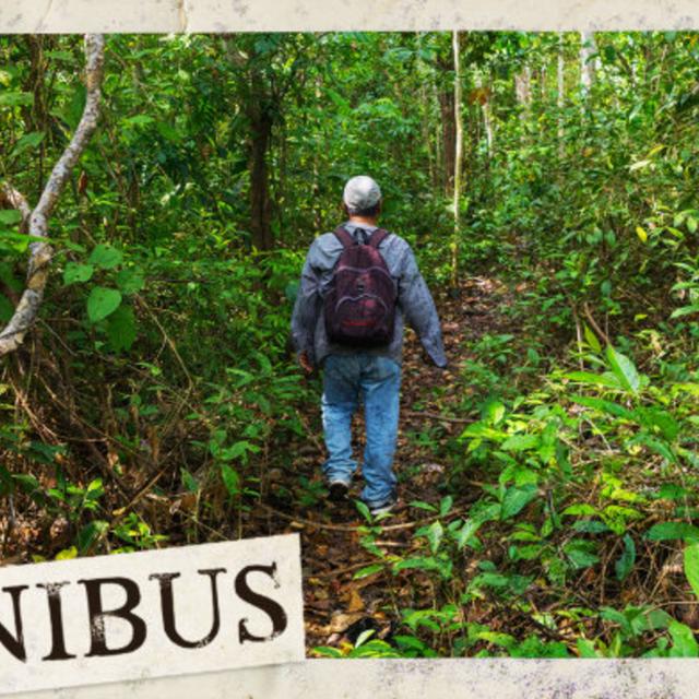 The Darien Gap (Entry 315.EZ3328) - podcast episode cover