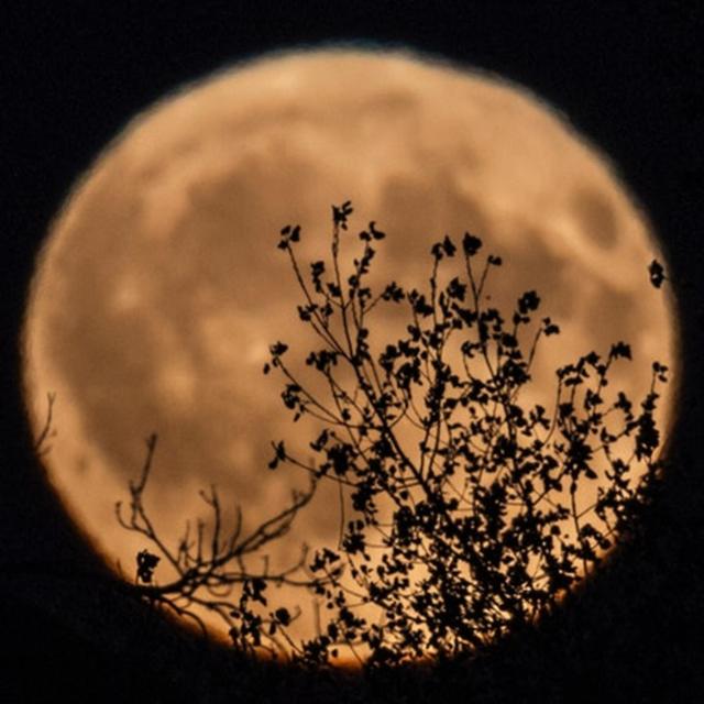 The Moon Illusion (Entry 806.JB3126) - podcast episode cover