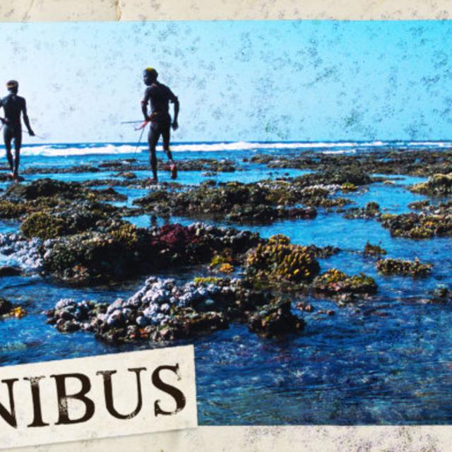 The Sentinelese (Entry 1134.LV2024) - podcast episode cover