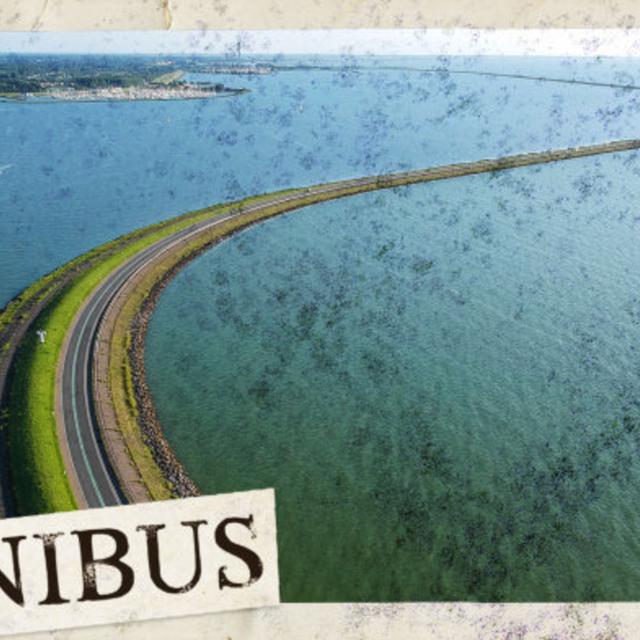 The Zuider Zee (Entry 1458.NA0104) - podcast episode cover