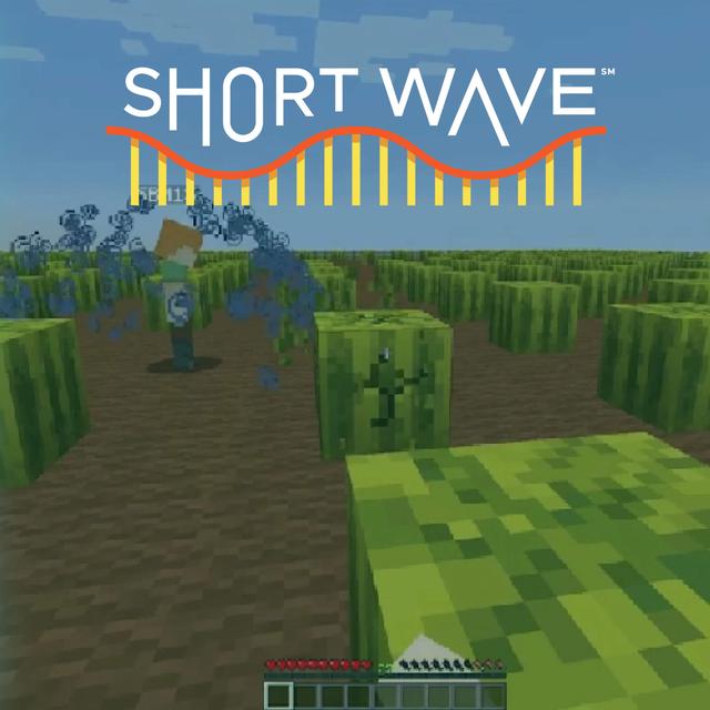 What Can Minecraft Teach Us About Learning? - podcast episode cover