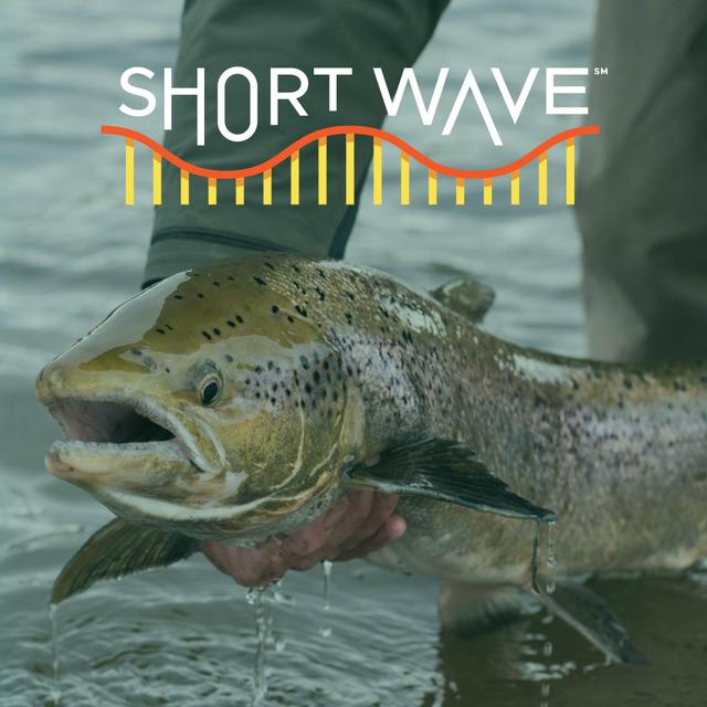 Why These Salmon Are On Anxiety Meds - podcast episode cover