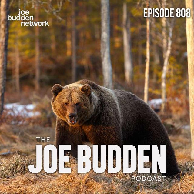 Episode 808 | "Meet Me At The Police Station" - podcast episode cover